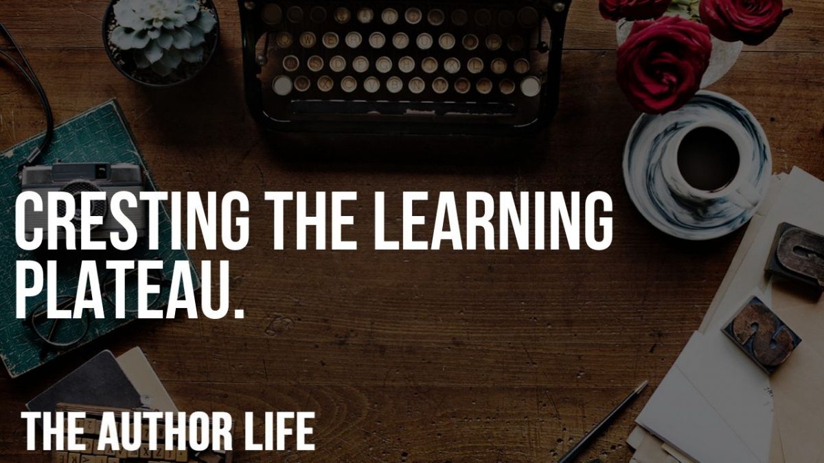 the learning plateau